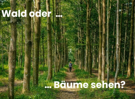 Den Wald oder doch die Bäume sehen